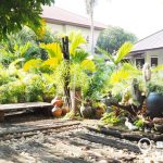 Cosy Studio Detached House in Ekkamai near BTS to rent
