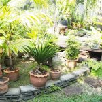 Cosy Studio Detached House in Ekkamai near BTS to rent
