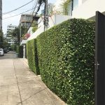 Modern Detached 4 Bed Thonglor House with Private Pool to rent