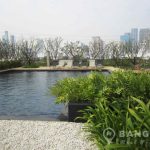 Issara Ladprao Modern High Floor 2 Bed 1 Bath near MRT to rent