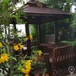 D.S. Tower 1 Spacious 5 Bed 4 Bath with Large Terrace Garden for sale