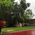 D.S. Tower 1 Spacious 5 Bed 4 Bath with Large Terrace Garden for sale