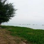 ขายที่ดินจังหวัดระยอง Land for sale in Ban Chang Rayong