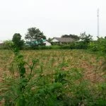 ขายที่ดินจังหวัดระยอง Land for sale in Ban Chang Rayong