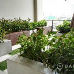 IDEO Blucove Sukhumvit Modern Stylish 1 + 1 Bed Udomsuk Condo for Sale