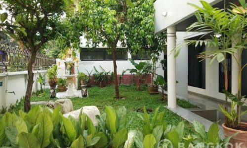 Detached Spacious 3 + 1 Bed 3 Bath Nana House with garden to rent