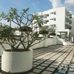 Sammakorn Condominium Superb Spacious 2 Bed 1 Bath in Ramkhamhaeng to rent