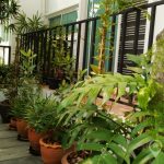 RENT Sammakorn Village Newly Built Detached 4 Bed 2 Bath House in Ramkhamhaeng