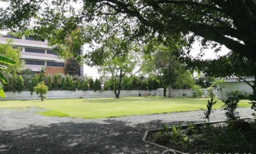 ขายที่ดินอ่อนนุช 44 Land for Sale On Nut 44