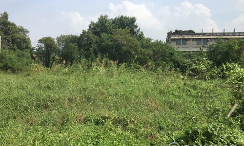 ขายที่เปล่าถมแล้ว ชอยสุขุมวิท 101.1 - Land for Sale Sukhumvit 101