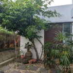 SALE ขายบ้านเดี่ยวใกล้สวนหลวง ร.9 Detached house 4 bed house with private pool in Prawet