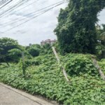 FOR SALE ขายที่ดินริมแม่น้ำเจ้าพระยา Land adjacent Chao Phraya River 167 sq