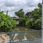 RENT ให้เช่าบ้านเดี่ยวในสุขุมวิทเดินไปbts Renovated Detached house 4 bed in sukhumvit walk to BTS