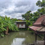 RENT ให้เช่าบ้านเดี่ยวในสุขุมวิทเดินไปbts Renovated Detached house 4 bed in sukhumvit walk to BTS