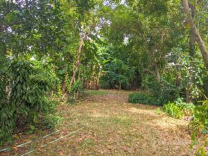 Ramkhamhaeng | Detached 5 Bed House Compound with Land photo