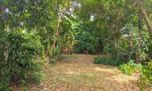 SALE ขายบ้านเดี่ยว 5 ห้องนอนพร้อมที่ดิน รามคำแหง Ramkhamhaeng Detached house with land