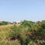 RENT-House-Sammakorn-Village-Renovated-Detached-Garden-4-bed-4-bath-หมู่บ้านสัมมากร