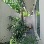 RENT ให้เช่าบ้านเดี่ยว 3 ห้องนอน รามคำแหง Sammakorn Village Ramkhamhaeng 3 bed 2 bath house