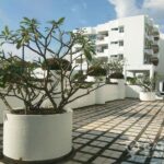 RENT สัมมากร คอนโดมิเนียม Sammakorn Condominium 2 bed 1 bath condo High Floor Pool view