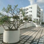 SALE สัมมากร คอนโดมิเนียม Sammakorn Condominium Ramkhamhaeng 2 bed 2 bath 2 large Terrace