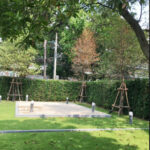 RENT Central Sukhumvit Renovated Detached Colonial House 5 Bed