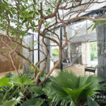 RENT ให้เช่าบ้านเดี่ยว 4 ห้องนอน พร้อมสระว่ายน้ำ รามคำแหง Brand New Detached House Private Pool Ramkhamhaeng