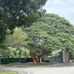 SALE ซื้อบ้านเดี่ยวในครีเอ้เขาใหญ่ CREA Khao Yai Renovated 4 Bed 5 Bath House in Saraburi Khao Yai