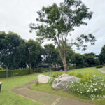 SALE ซื้อบ้านเดี่ยวในครีเอ้เขาใหญ่ CREA Khao Yai Renovated 4 Bed 5 Bath House in Saraburi Khao Yai