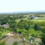 SALE ขายที่ดินเปล่าในหมู่บ้านเดอะเนเจอร์โฮม เชียงใหม่ Land for Sale The Nature Home Village Chiang Mai