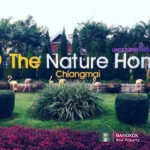 SALE ขายที่ดินเปล่าในหมู่บ้านเดอะเนเจอร์โฮม เชียงใหม่ Land for Sale The Nature Home Village Chiang Mai