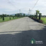 SALE ขายที่ดินเปล่าในหมู่บ้านเดอะเนเจอร์โฮม เชียงใหม่ Land for Sale The Nature Home Village Chiang Mai